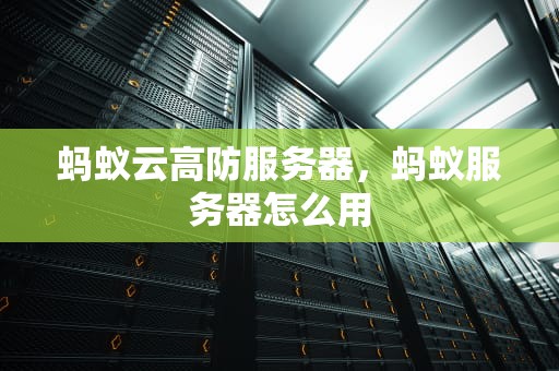 蚂蚁云高防服务器，蚂蚁服务器怎么用