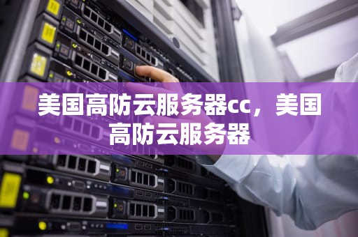 美国高防云服务器cc，美国高防云服务器