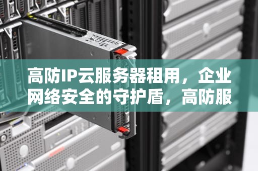 高防IP云服务器租用，企业网络安全的守护盾，高防服务器租赁