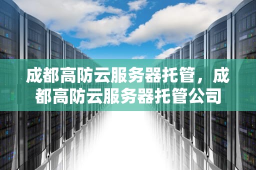 成都高防云服务器托管，成都高防云服务器托管公司