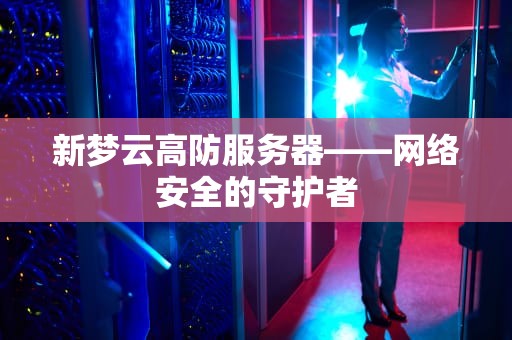 新梦云高防服务器——网络安全的守护者