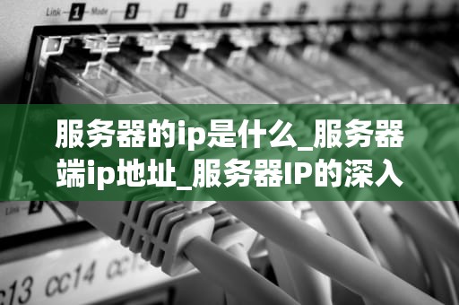 服务器的ip是什么_服务器端ip地址_服务器IP的深入理解与应用
