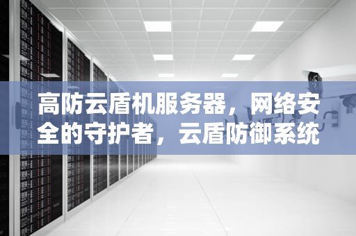 高防云盾机服务器，网络安全的守护者，云盾防御系统