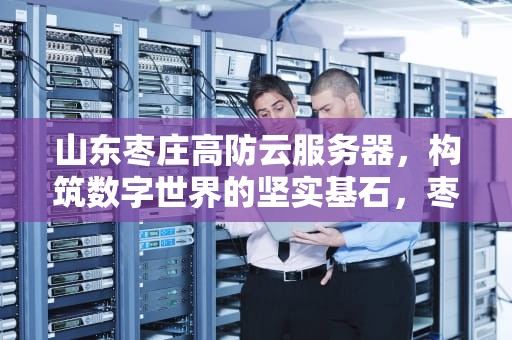 山东枣庄高防云服务器，构筑数字世界的坚实基石，枣庄高防服务器怎么样
