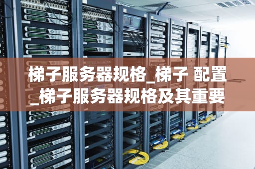 梯子服务器规格_梯子 配置_梯子服务器规格及其重要性