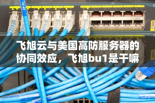飞旭云与美国高防服务器的协同效应，飞旭bu1是干嘛的