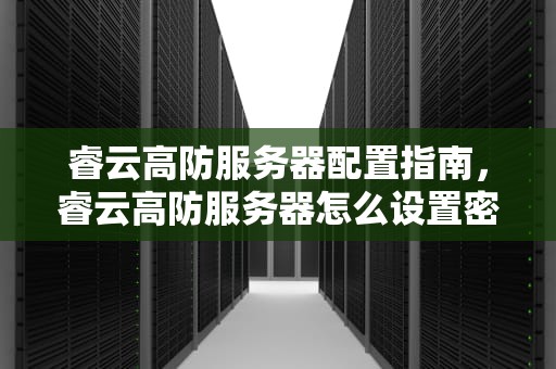 睿云高防服务器配置指南，睿云高防服务器怎么设置密码