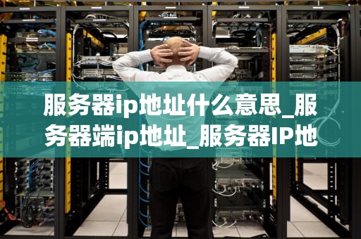 服务器ip地址什么意思_服务器端ip地址_服务器IP地址的理解与应用