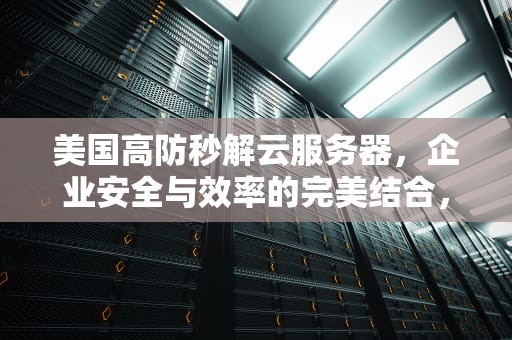 美国高防秒解云服务器，企业安全与效率的完美结合，美国高防服务器问答