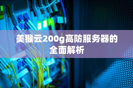 美猴云200g高防服务器的全面解析