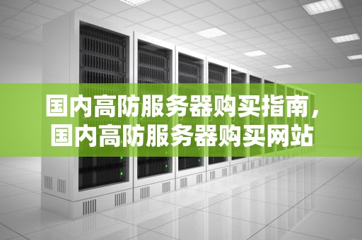 国内高防服务器购买指南，国内高防服务器购买网站