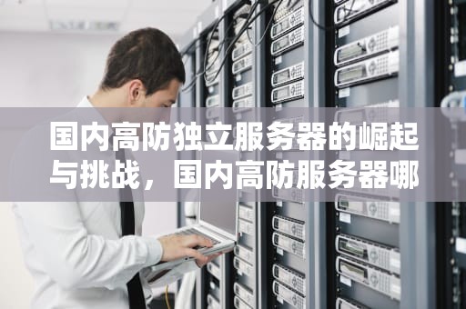 国内高防独立服务器的崛起与挑战，国内高防服务器哪个好