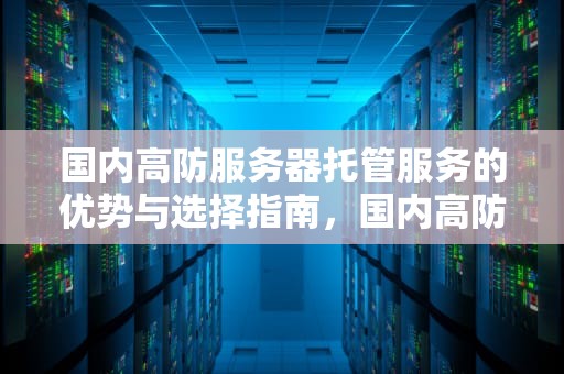 国内高防服务器托管服务的优势与选择指南，国内高防服务器托管公司