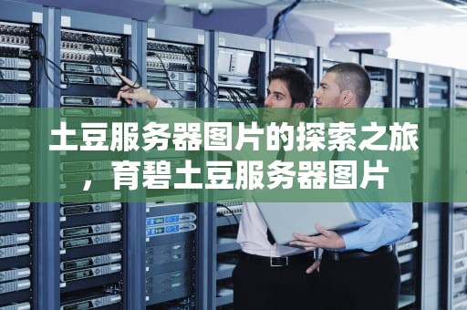 土豆服务器图片的探索之旅，育碧土豆服务器图片