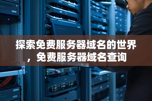 探索免费服务器域名的世界，免费服务器域名查询