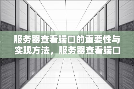 服务器查看端口的重要性与实现方法，服务器查看端口占用情况