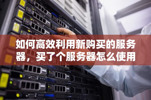 如何高效利用新购买的服务器，买了个服务器怎么使用手机