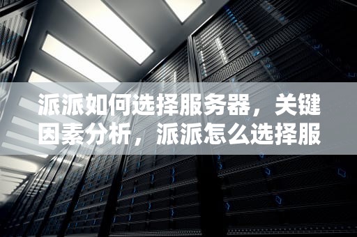 派派如何选择服务器，关键因素分析，派派怎么选择服务器2023