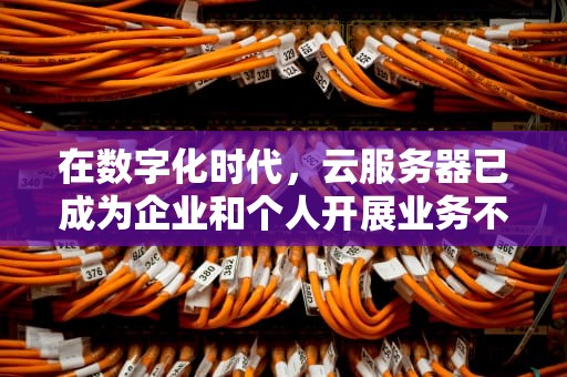 在数字化时代，云服务器已成为企业和个人开展业务不可或缺的基础设施。随着云计算技术的飞速发展，市场上涌现出众多提供云服务器的服务商。为了帮助用户更好地选择合适的云服务器提供商，本文将介绍当前市面上较为知名的云服务器排行榜，并分析这些服务商的特点和优势。，云服务器排行榜前十名