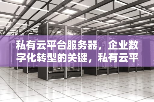 私有云平台服务器，企业数字化转型的关键，私有云平台服务器配置要求