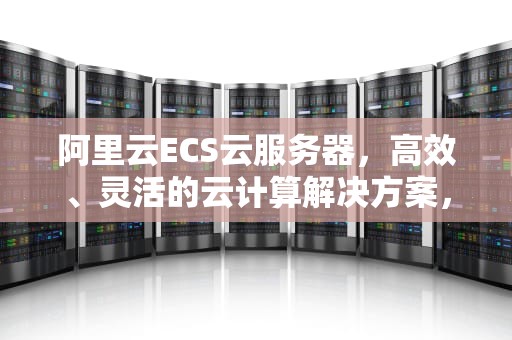 阿里云ECS云服务器，高效、灵活的云计算解决方案，阿里云ECS云服务器可以挂在多少硬盘