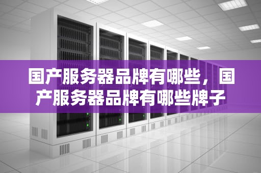 国产服务器品牌有哪些，国产服务器品牌有哪些牌子