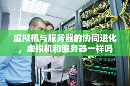 虚拟机与服务器的协同进化，虚拟机和服务器一样吗