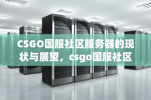 CSGO国服社区服务器的现状与展望，csgo国服社区服务器暂无数据