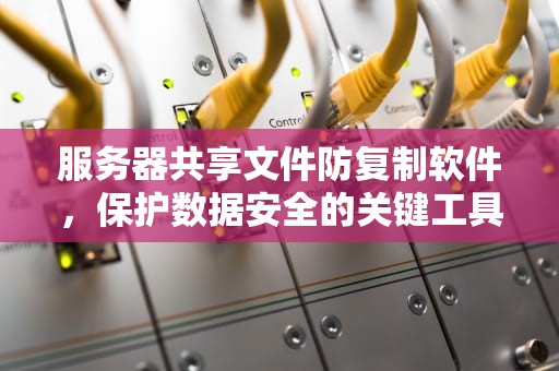 服务器共享文件防复制软件，保护数据安全的关键工具，服务器共享文件防复制软件有哪些