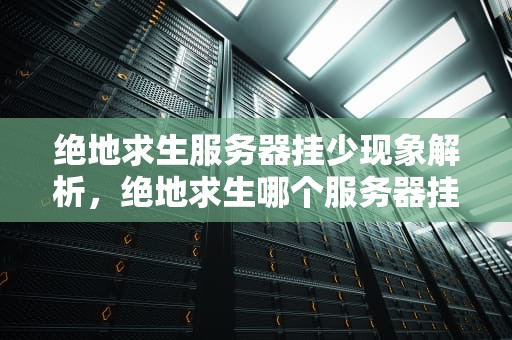 绝地求生服务器挂少现象解析，绝地求生哪个服务器挂少延迟低