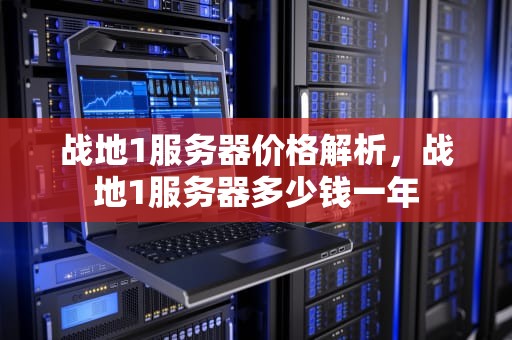 战地1服务器价格解析，战地1服务器多少钱一年