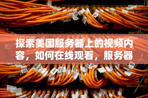 探索美国服务器上的视频内容，如何在线观看，服务器在线播放