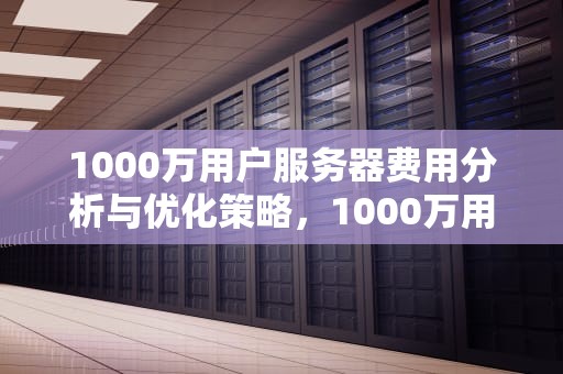 1000万用户服务器费用分析与优化策略，1000万用户的服务器成本