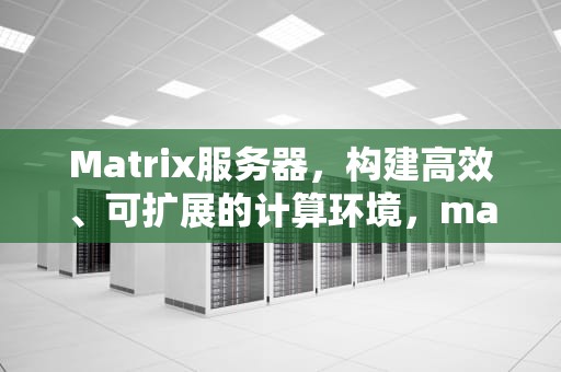 Matrix服务器，构建高效、可扩展的计算环境，matrix服务器搭建