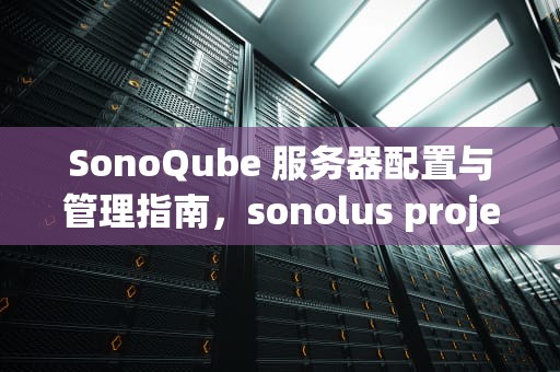 SonoQube 服务器配置与管理指南，sonolus project sekai服务器