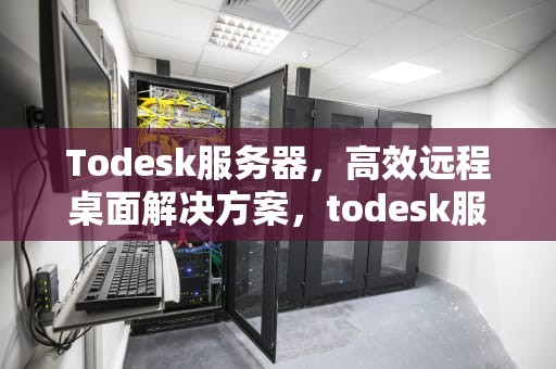 Todesk服务器，高效远程桌面解决方案，todesk服务器崩了?