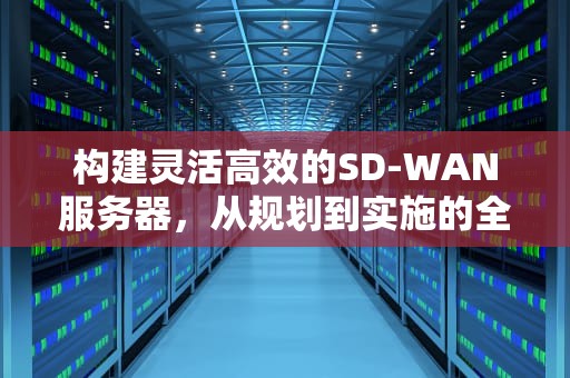构建灵活高效的SD-WAN服务器，从规划到实施的全面指南，自建sdwan服务器