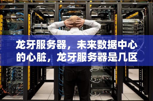 龙牙服务器，未来数据中心的心脏，龙牙服务器是几区几组