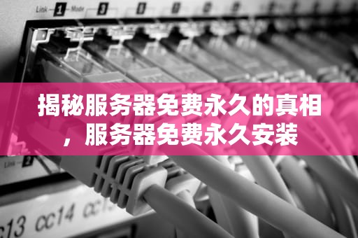 揭秘服务器免费永久的真相，服务器免费永久安装