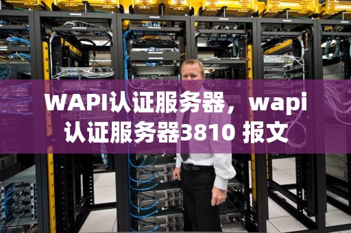 WAPI认证服务器，wapi认证服务器3810 报文