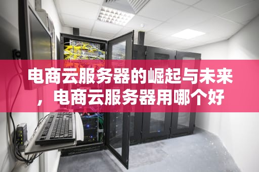 电商云服务器的崛起与未来，电商云服务器用哪个好