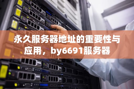 永久服务器地址的重要性与应用，by6691服务器