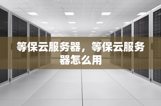等保云服务器，等保云服务器怎么用