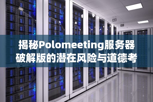 揭秘Polomeeting服务器破解版的潜在风险与道德考量，polomeeting服务器破解版 并发数