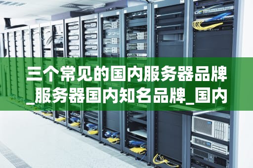 三个常见的国内服务器品牌_服务器国内知名品牌_国内服务器品牌的探索与比较