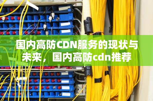国内高防CDN服务的现状与未来，国内高防cdn推荐