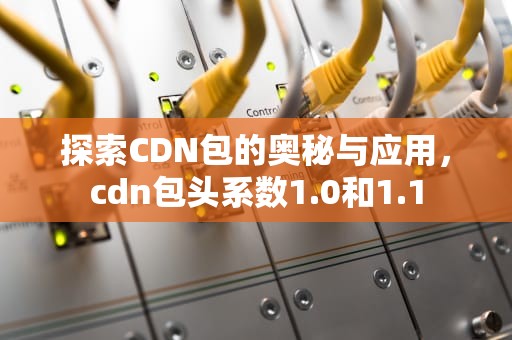 探索CDN包的奥秘与应用，cdn包头系数1.0和1.1