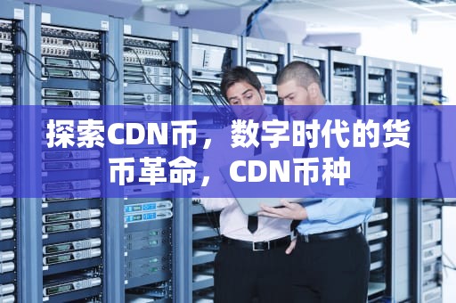 探索CDN币，数字时代的货币革命，CDN币种