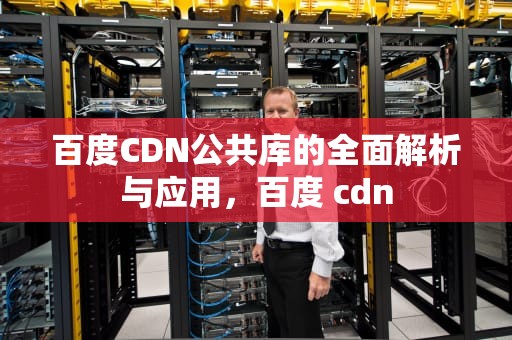 百度CDN公共库的全面解析与应用，百度 cdn