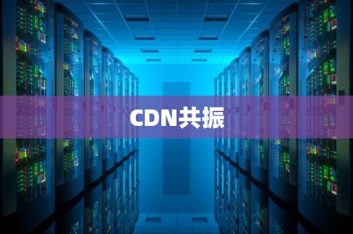 CDN共振